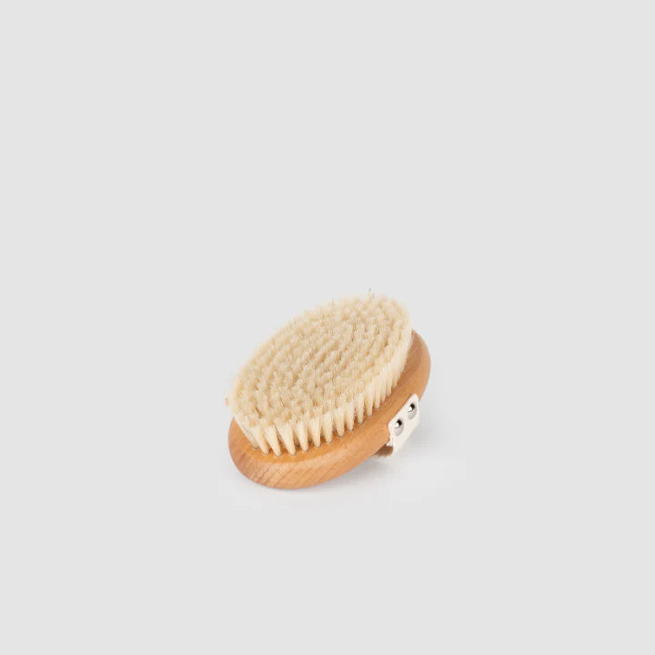 Dry brush